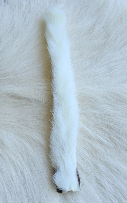 Calf Tail..  Fly Tying Calf Tails.  Color; White.