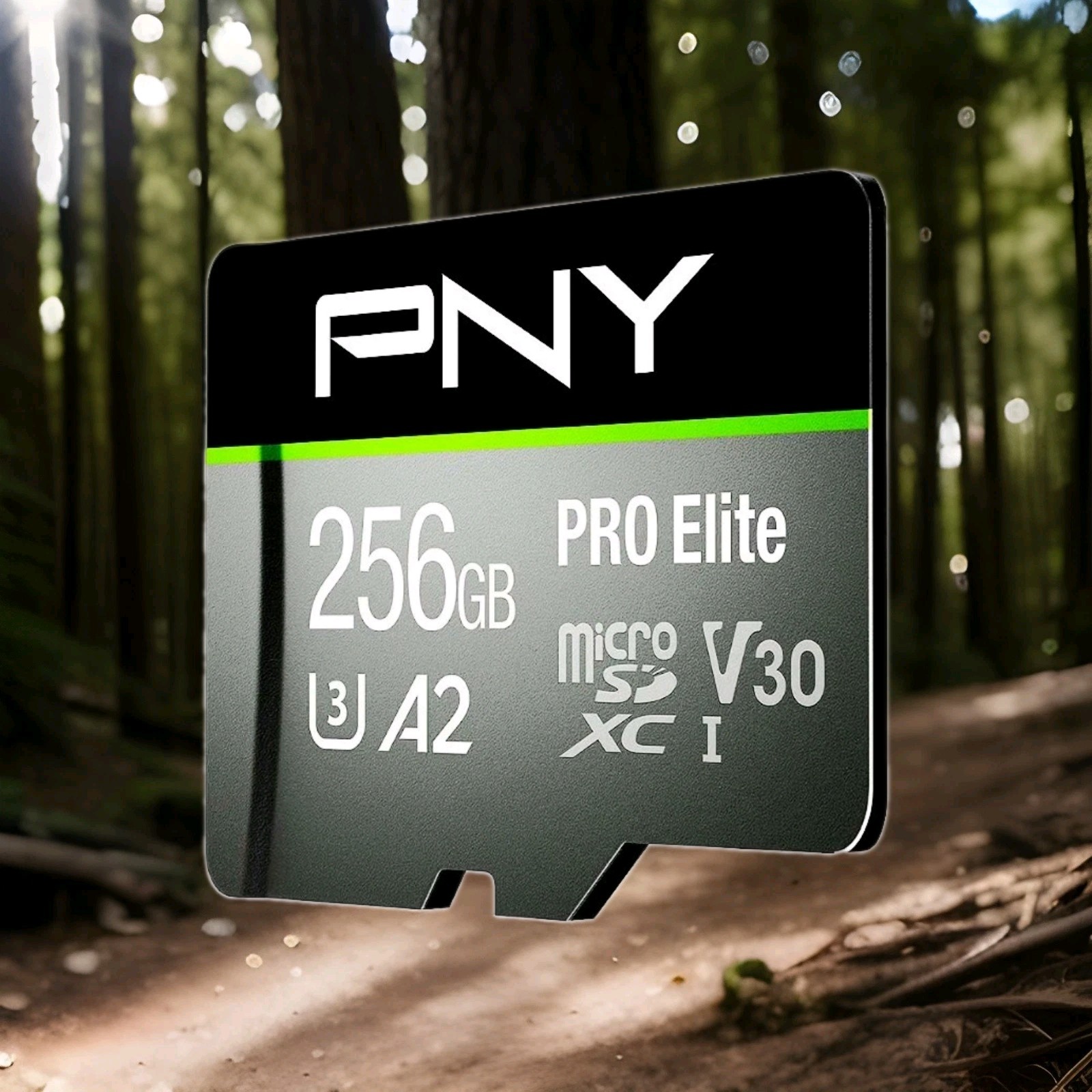 RF40H, R36max2, XF40v, XF40h -Preloaded Game Card-256GB (Plug & Play) 💯🌟