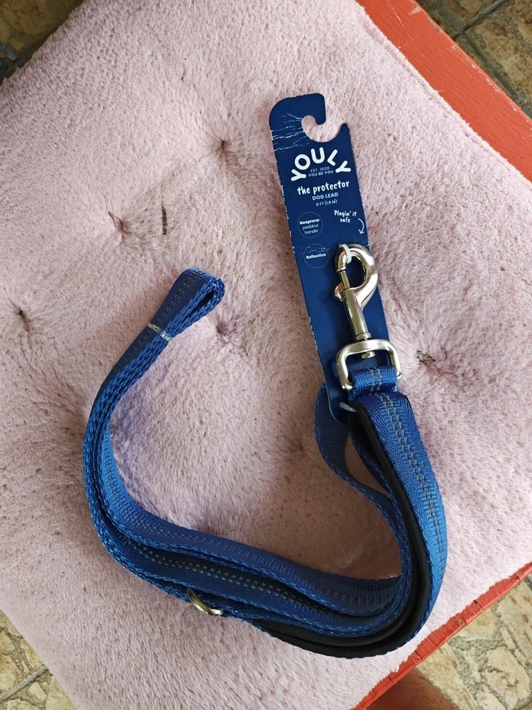 YOULY The Protector Dog Lead in Blue, 6 ft.