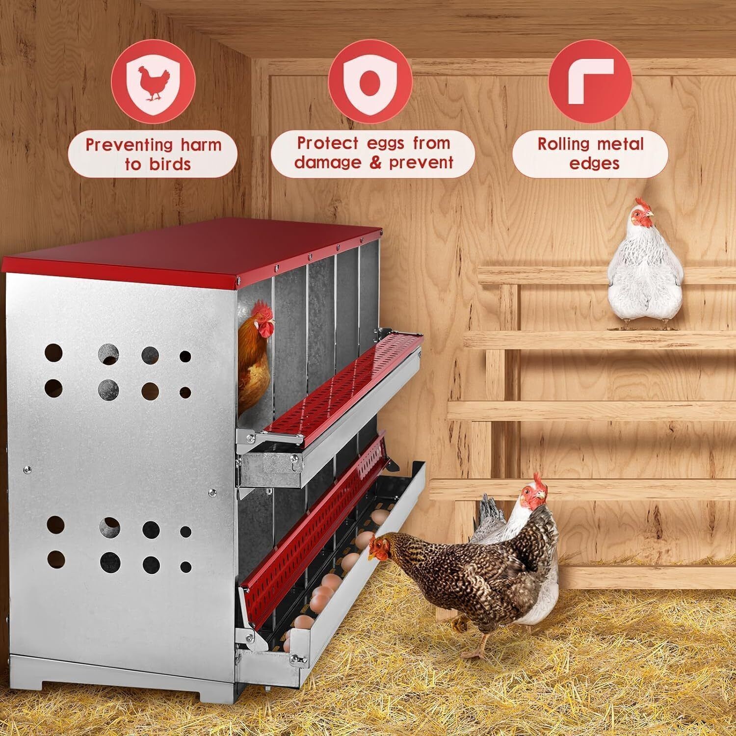 10 Hole Chicken Nesting Boxes Chicken Egg Laying Box with Rollout Egg Collection