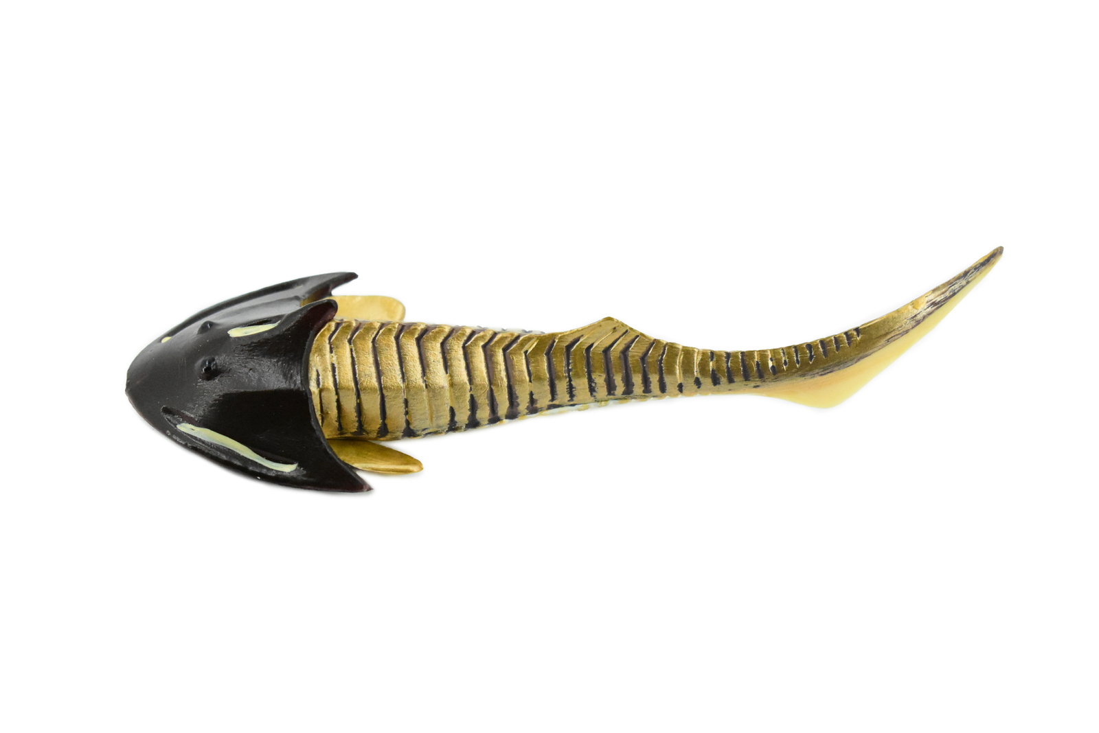 Cephaiaspis, Extinct Armored Fish Painted, Realistic Toy  Model 5" CH175 BB113