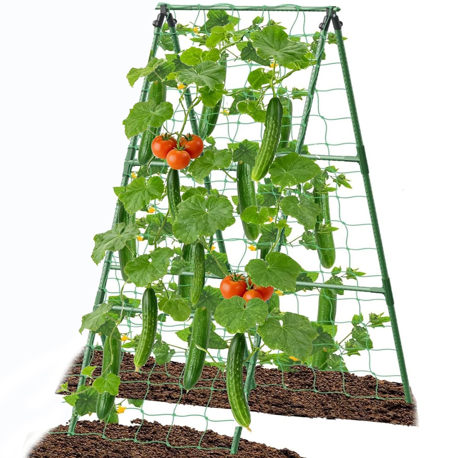 Cucumber Trellis Garden Arch Trellis, Tall for Climbing Green