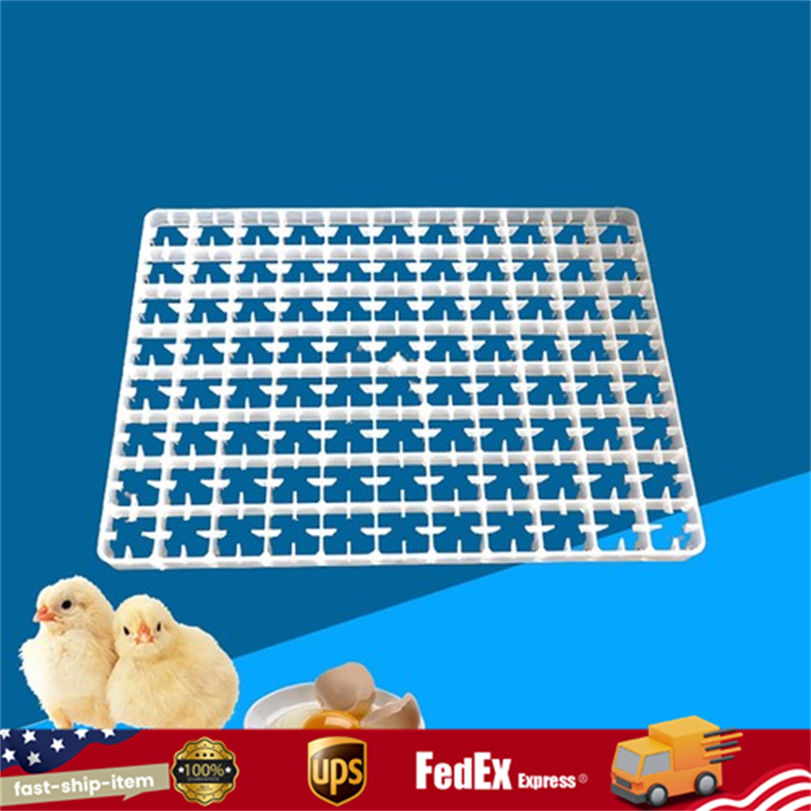 5*Egg Hatching Incubator Trays Chicken  Pheasant Duck 88 Egg Plastic Holder