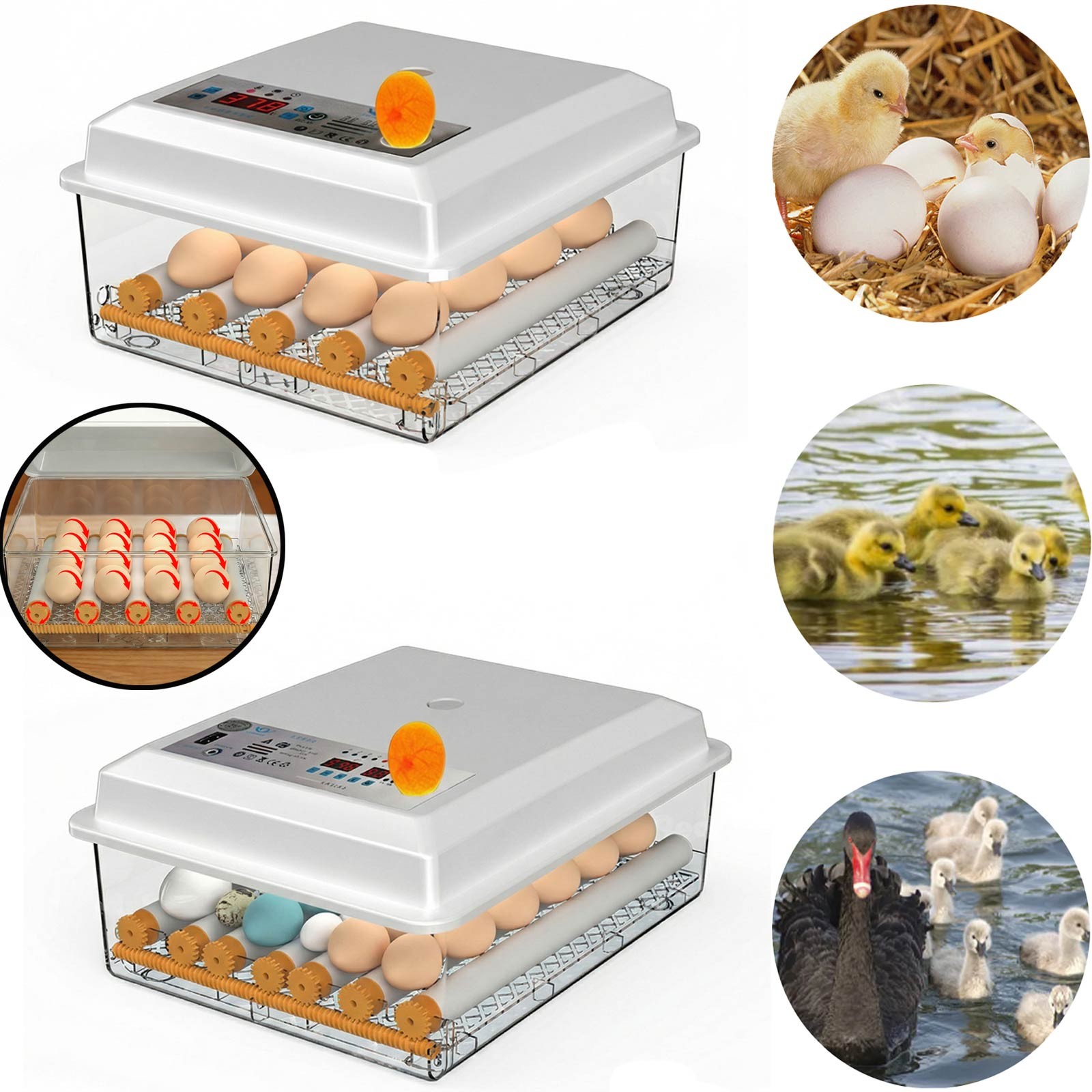 16/36Egg Incubators for Hatching Eggs Chicken Incubator w/ Automatic Egg Turning