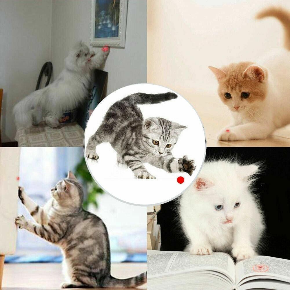 Rechargeable Flashlight Green LaserPointer Adjustable Focus Cat Toy Teacher
