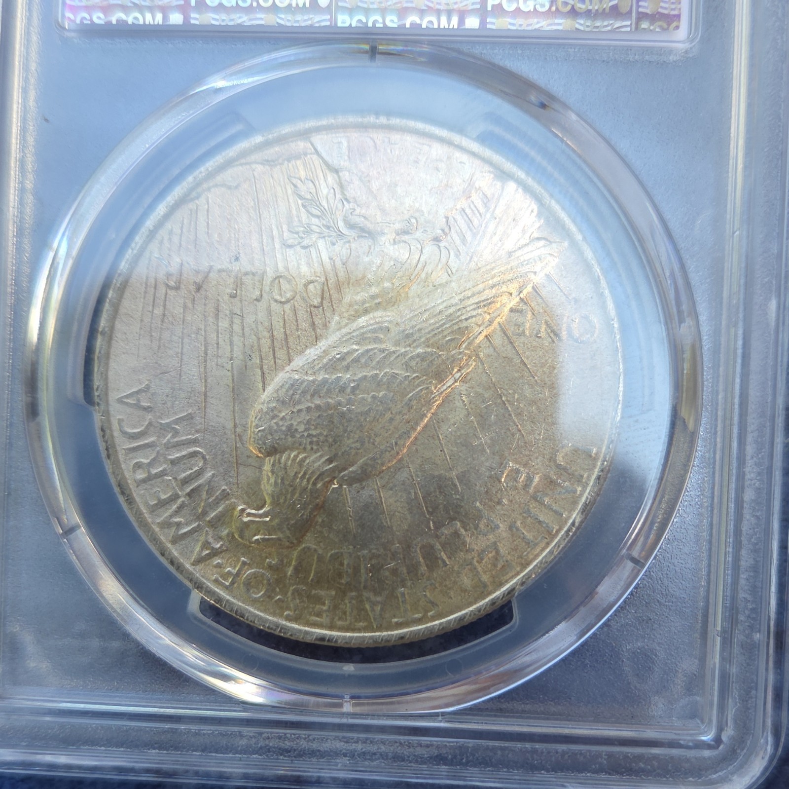 1923 Peace Silver $1 Dollar PCGS Holder VAM-1F Philadelphia KM#150