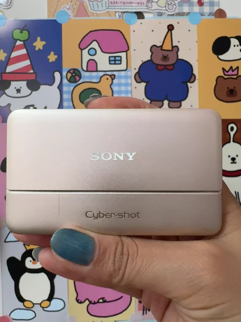 Sony Cyber-shot DSC-TX55 Digital Camera 5x Optical Zoom 16.2 MP Auto Focus Gold