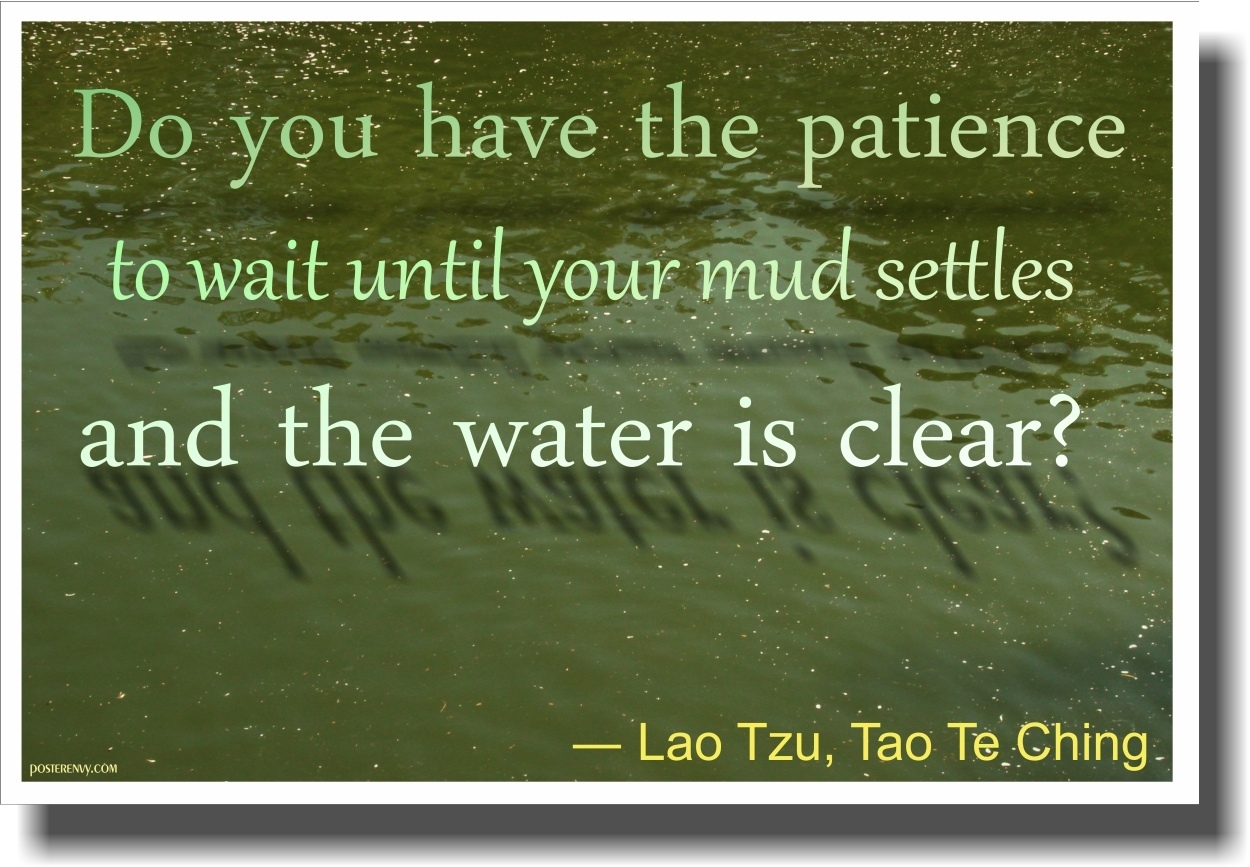 Patience - Tao Te Ching - NEW Classroom Motivational Poster