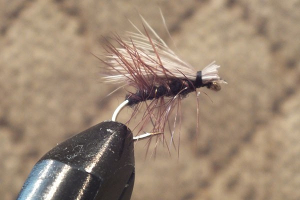 Elk Hair Caddis Trout Dry Fly  1 Dozen (12 Flies) Black and Tan F726
