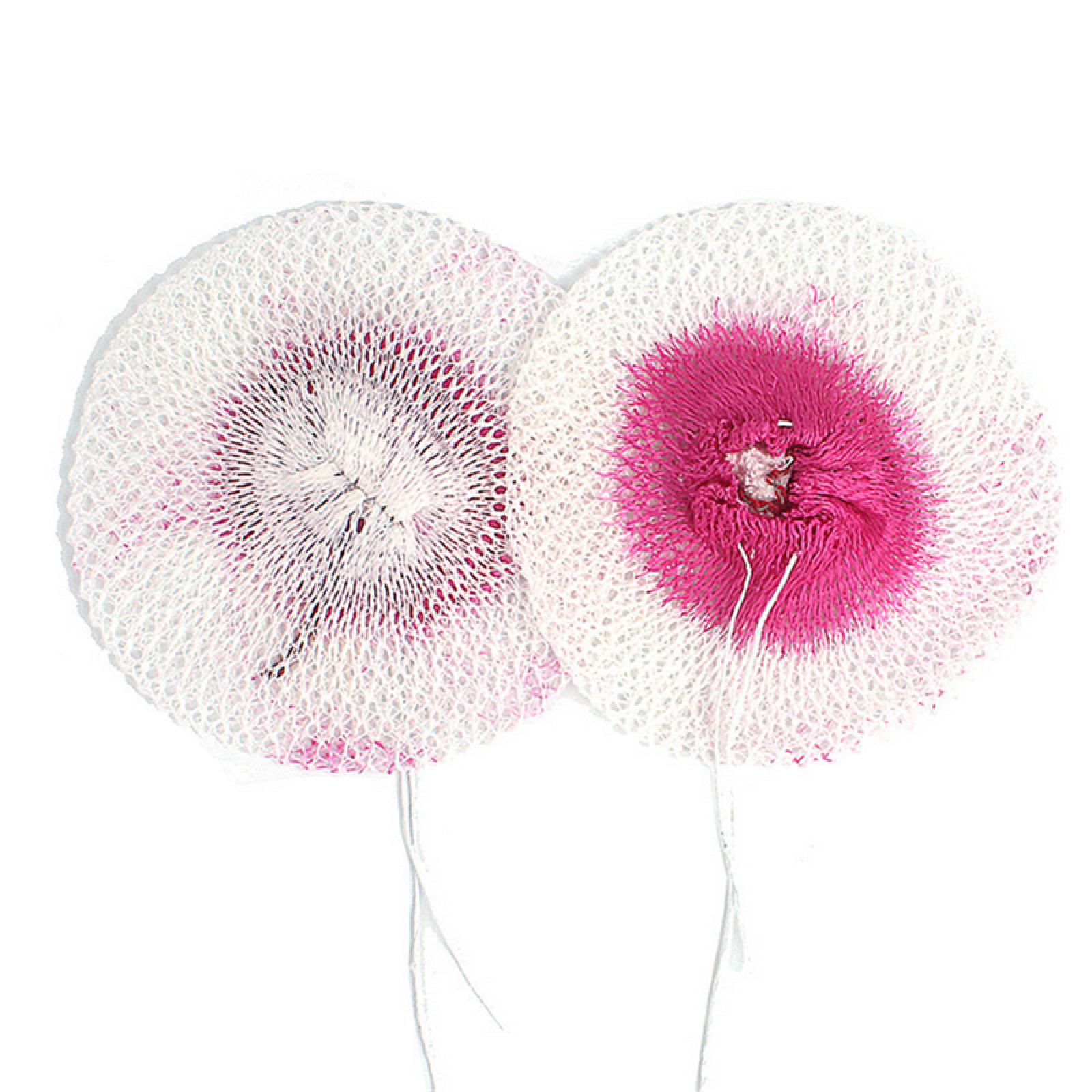 50 Pack Outdoor Camping Gas Lamp Lantern Mantles Pressure Lantern Mantle 100mm