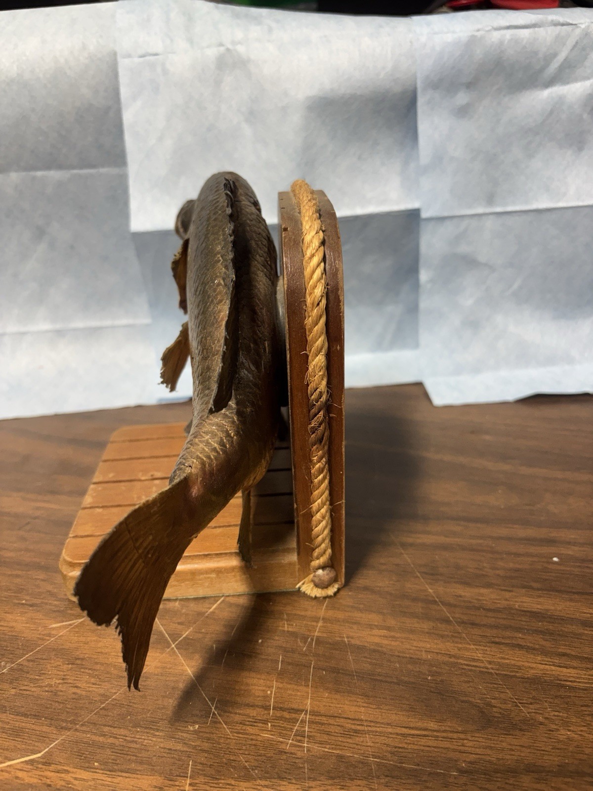 Bluegill Book Ends Fishing Decor