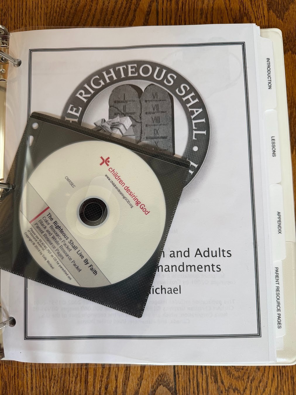 Bible Study for Children & Adults on the 10 Commandments - Sally Michael