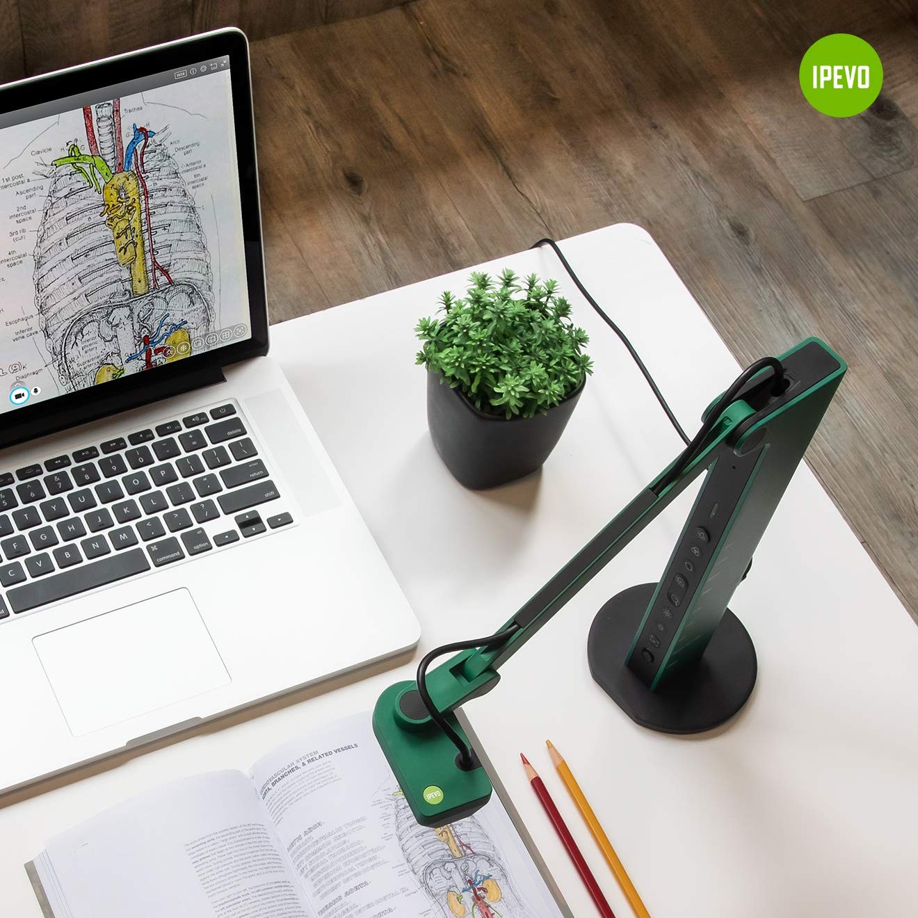 IPEVO VZ-R HDMI/USB Dual Mode 8MP Visual Communication Tool