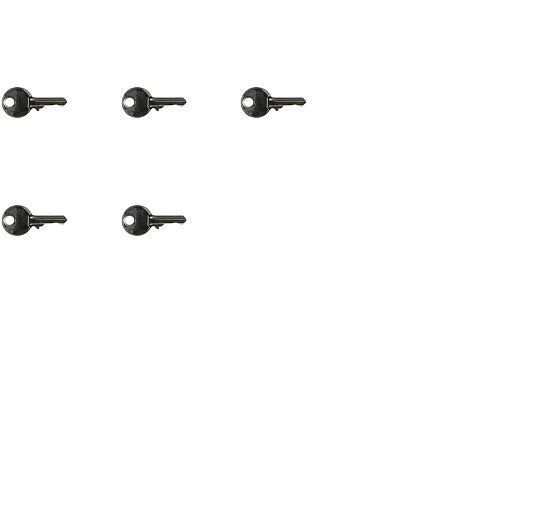FOR RONIS 455 KEY - SET OF 5