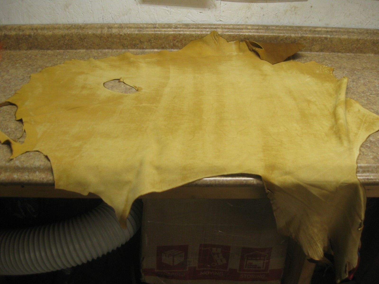 Tanned Buffed Deer Leather 0011139 row 15 a
