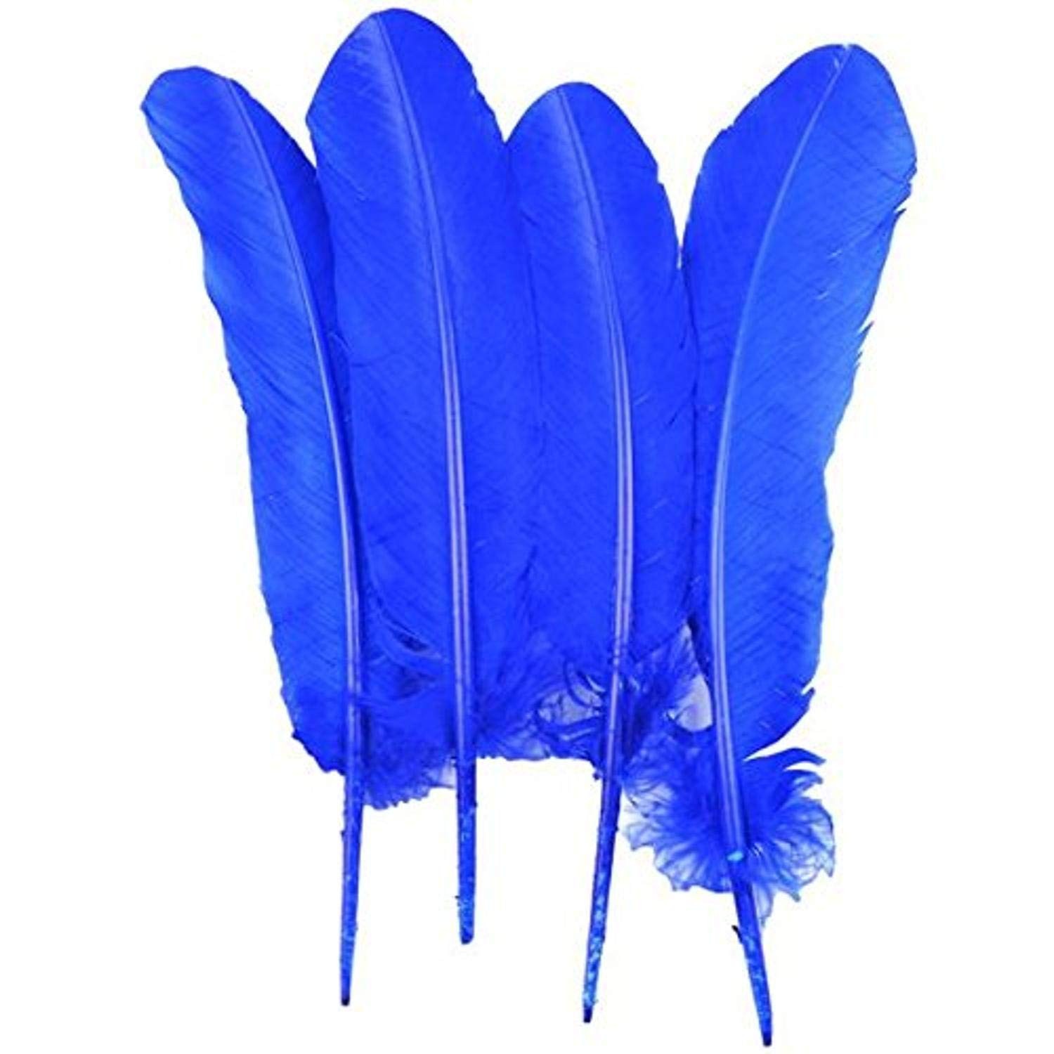 Touch of Nature 4-Piece Turkey Feather for Art and Craft, 12.25 to Royal Blue