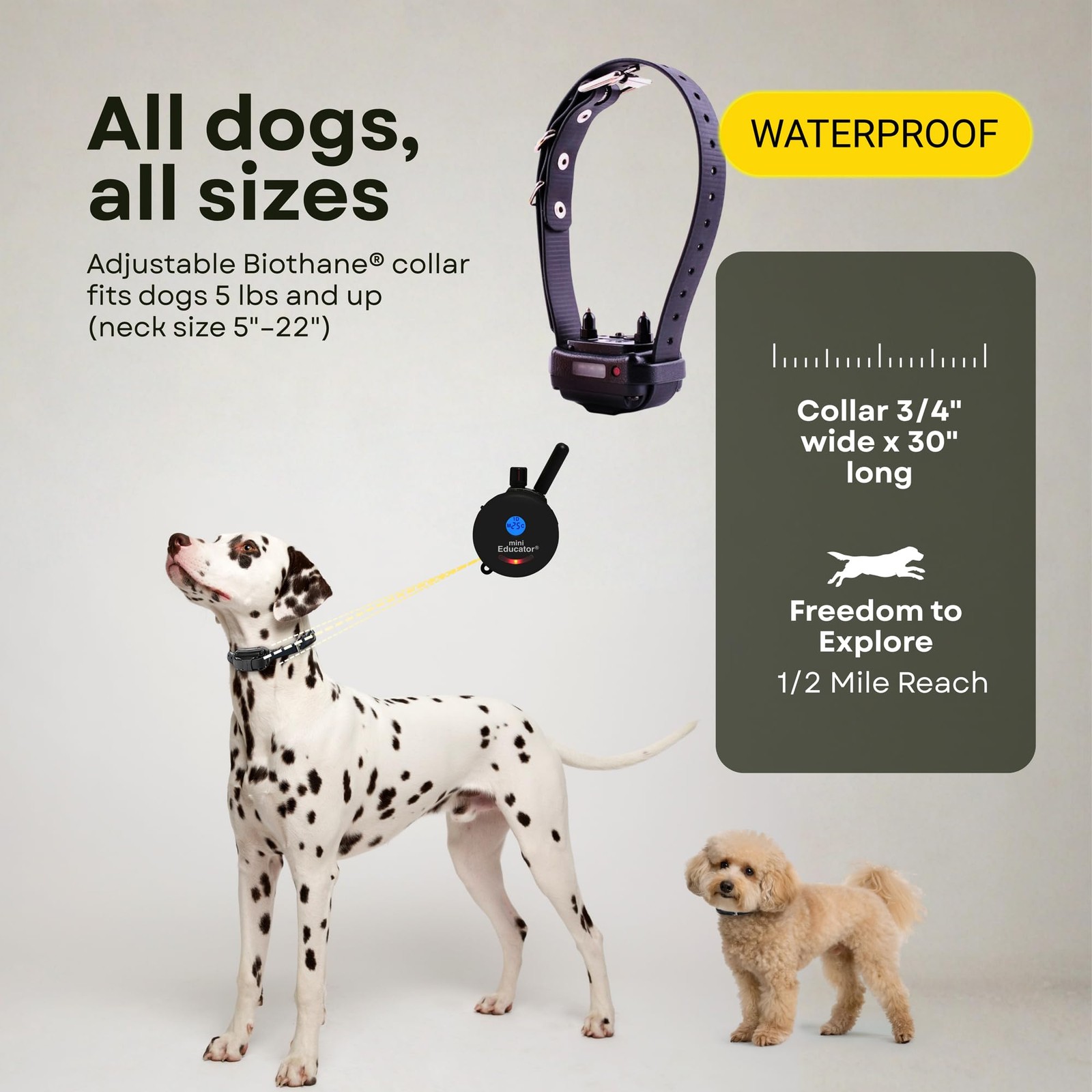 Mini Educator E-Collar ET-300 / ET-302 Dog Training Collar System with Remote -