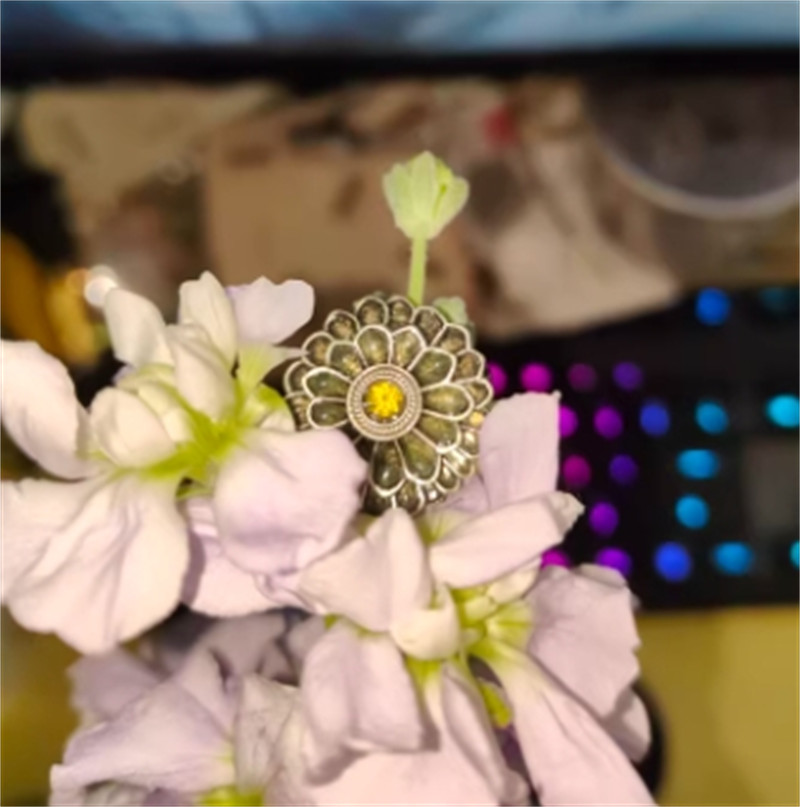 Cosplay Dark souls Ring Cloranthy Ring Video Game Adjustable Size