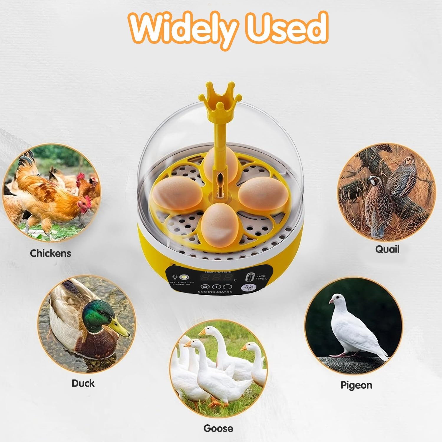 Tissting 4 Eggs Mini Incubator with Transparent Lid,7W Automatic Temperature Hum