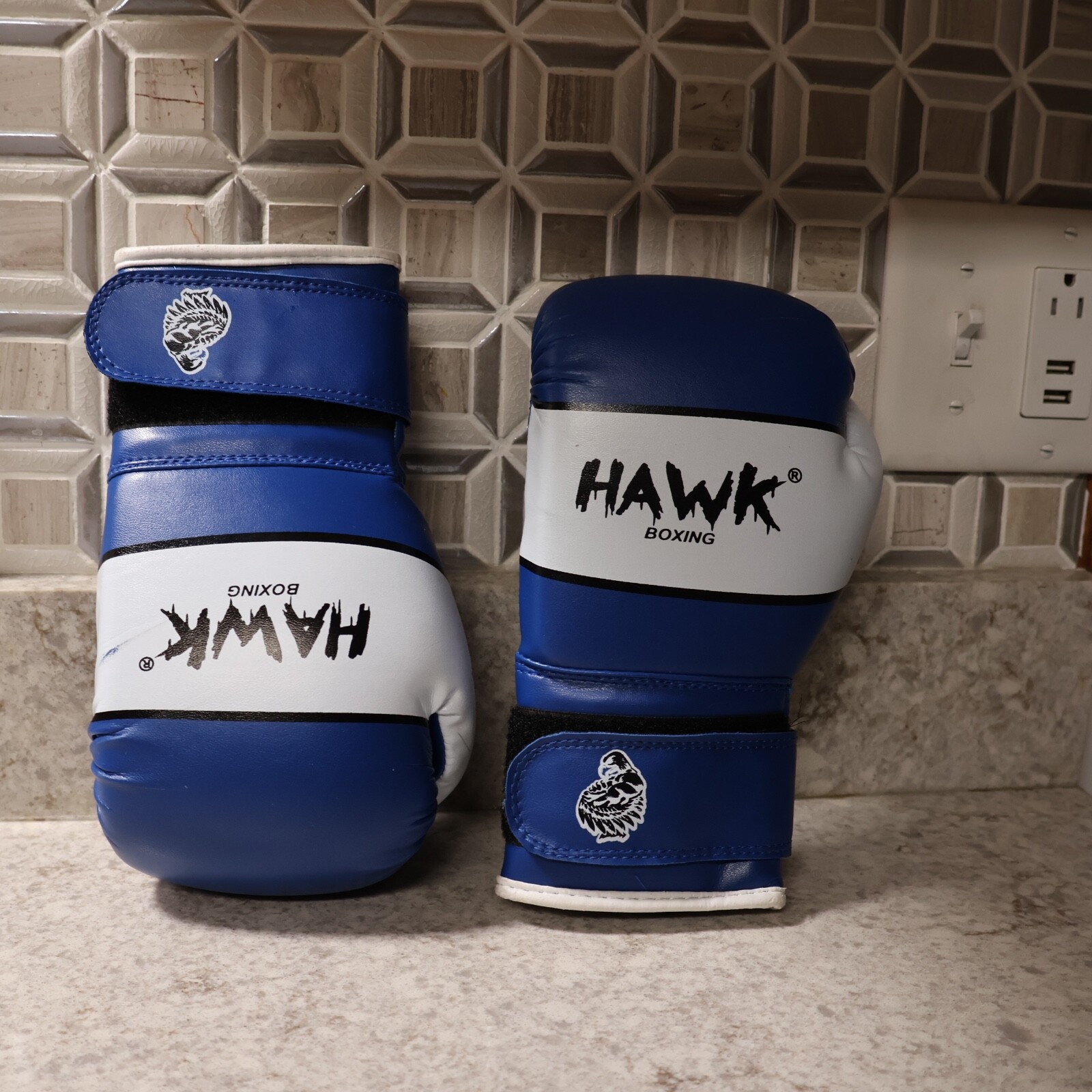 Hawk 6oz boxing gloves