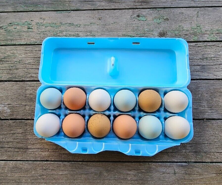 Styrofoam Egg Cartons (10 pack)
