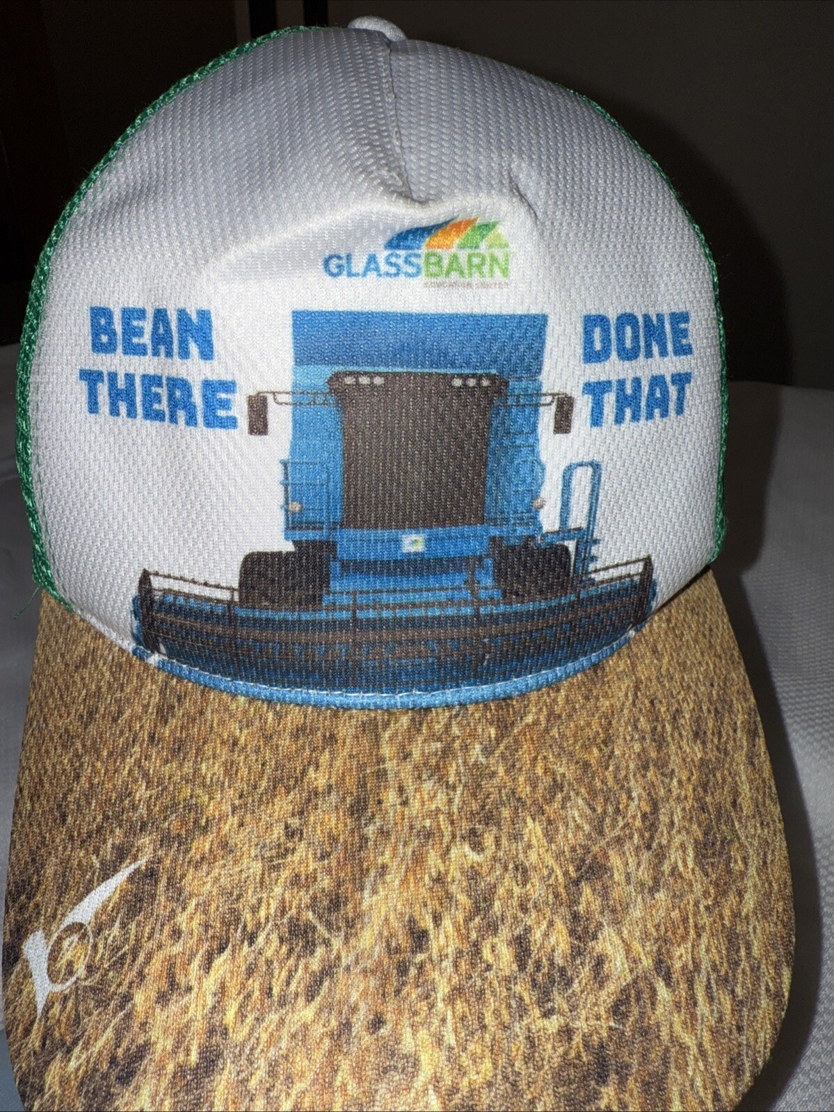 BEAN There Done That White Multicolor trucker Hat Cap Snapback green Mesh EUC