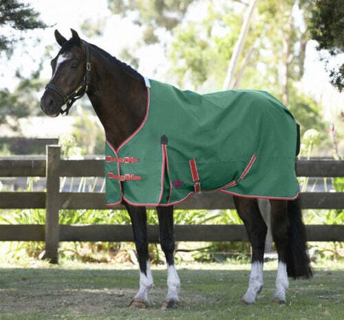 Weatherbeeta Comfitec Prelim Standard Neck Turnout Medium CLOSEOUT