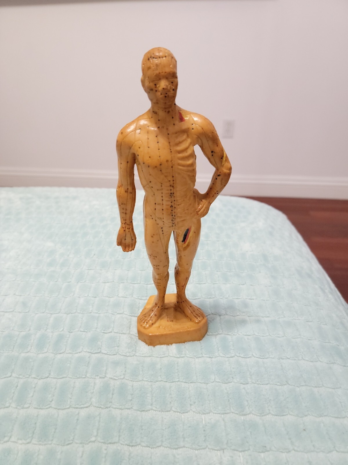 Vintage Human Body Chinese Acupuncture Acupressure Medical Anatomy 10.5” Rubber