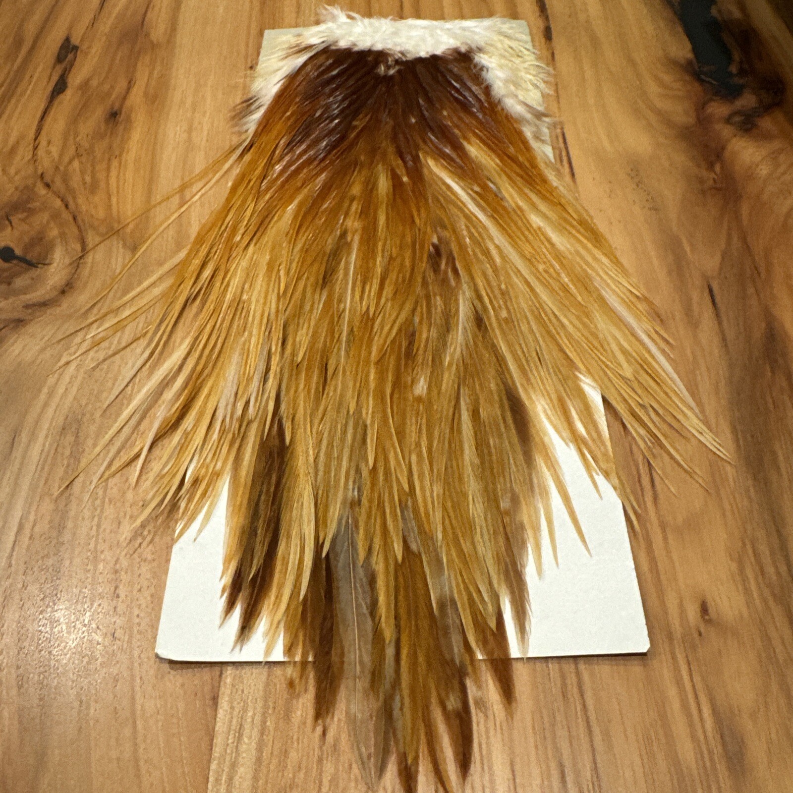 Vintage Metz #2 Light Ginger SaddleHackle. Nice Spade Hackle