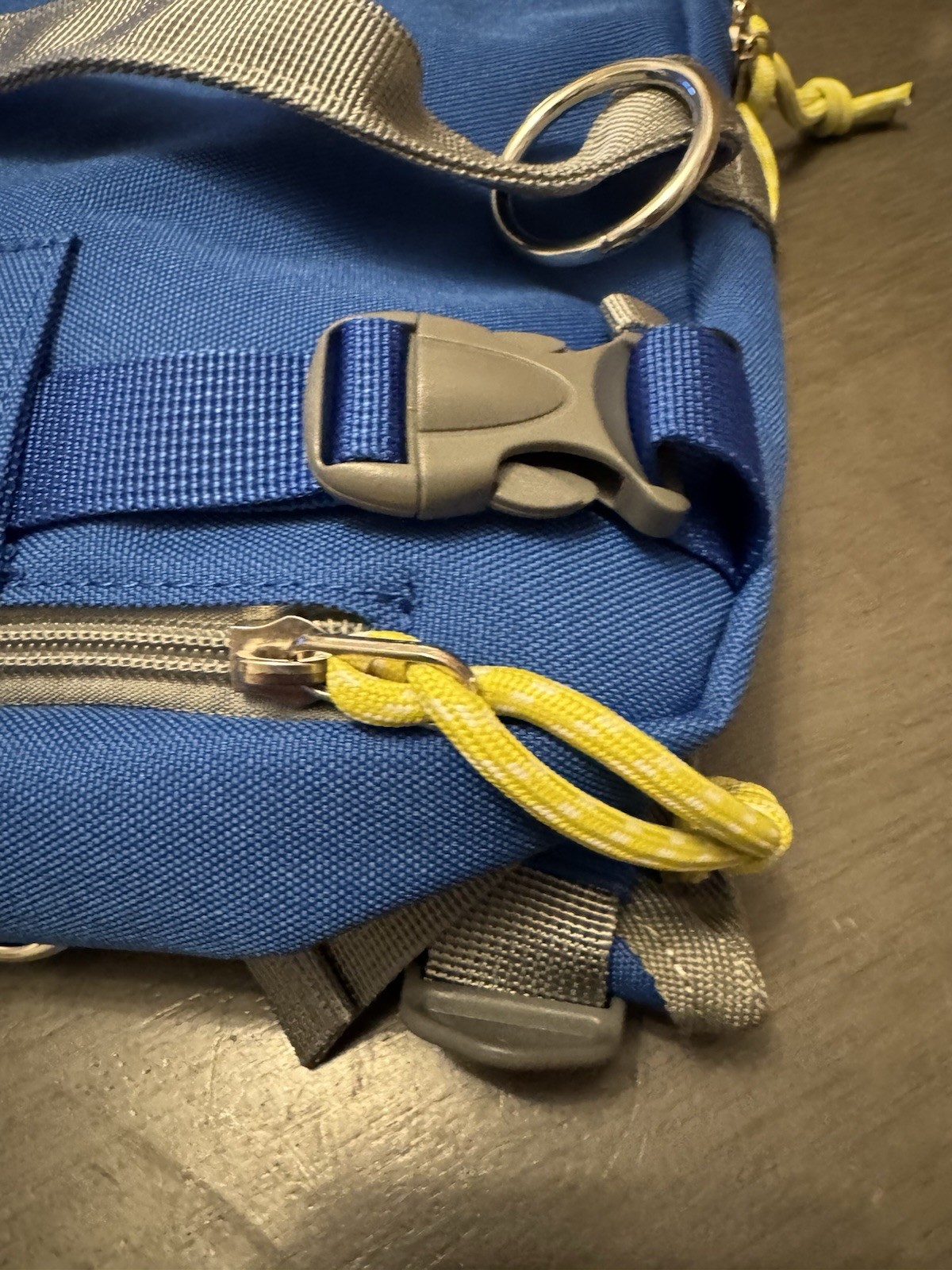 Ski and Snowboard Harness with Training Leash for Kids Blue