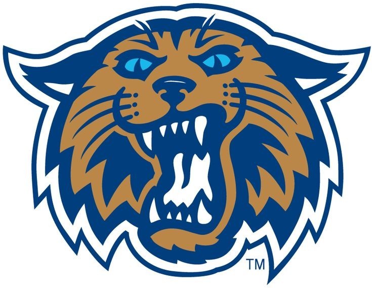 Villanova University Sticker NCAA Football Die Cut Laminated