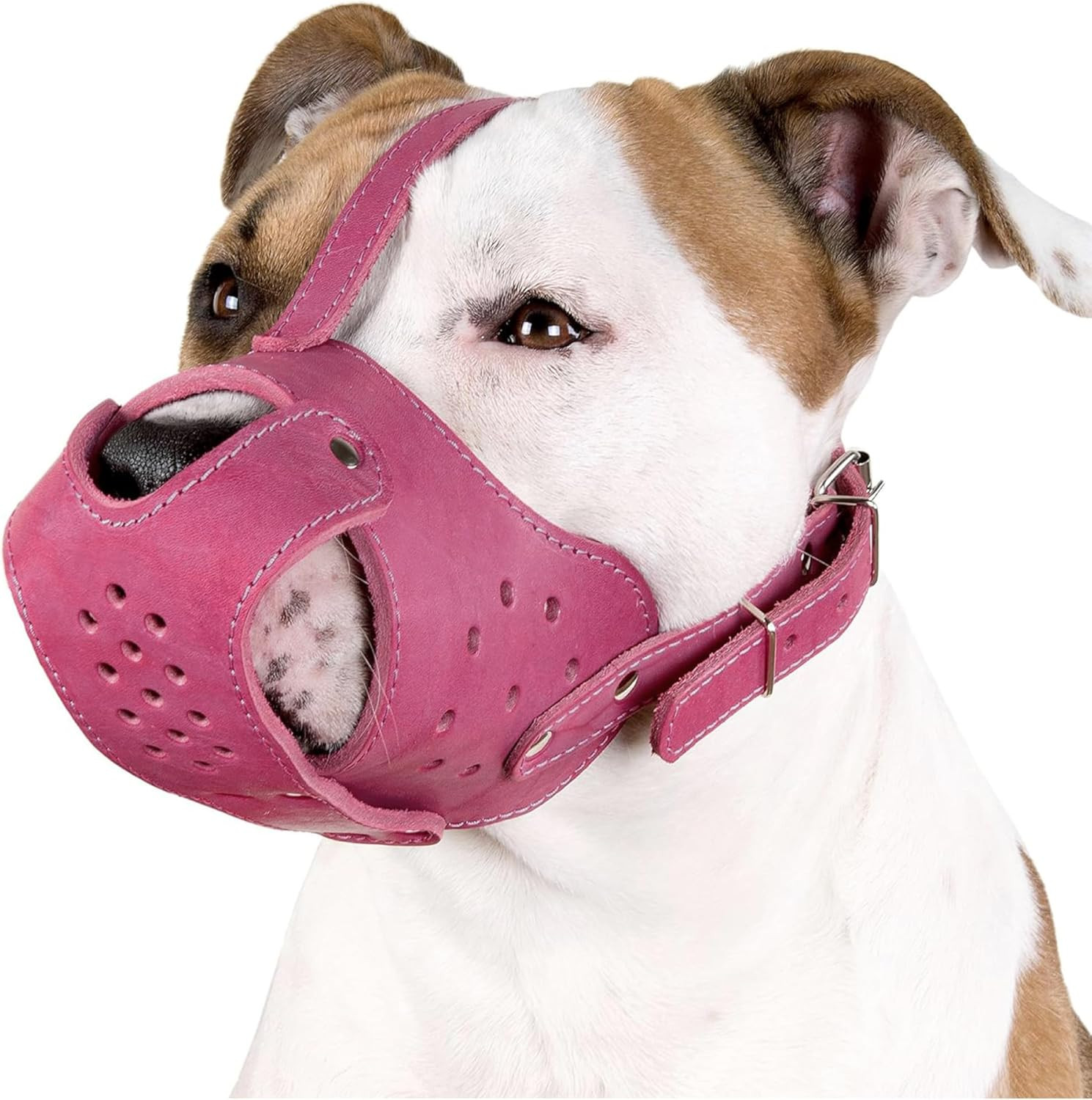 Dog Muzzle Pitbull Amstaff Basket Genuine Leather Staffordshire Terrier (Pink)