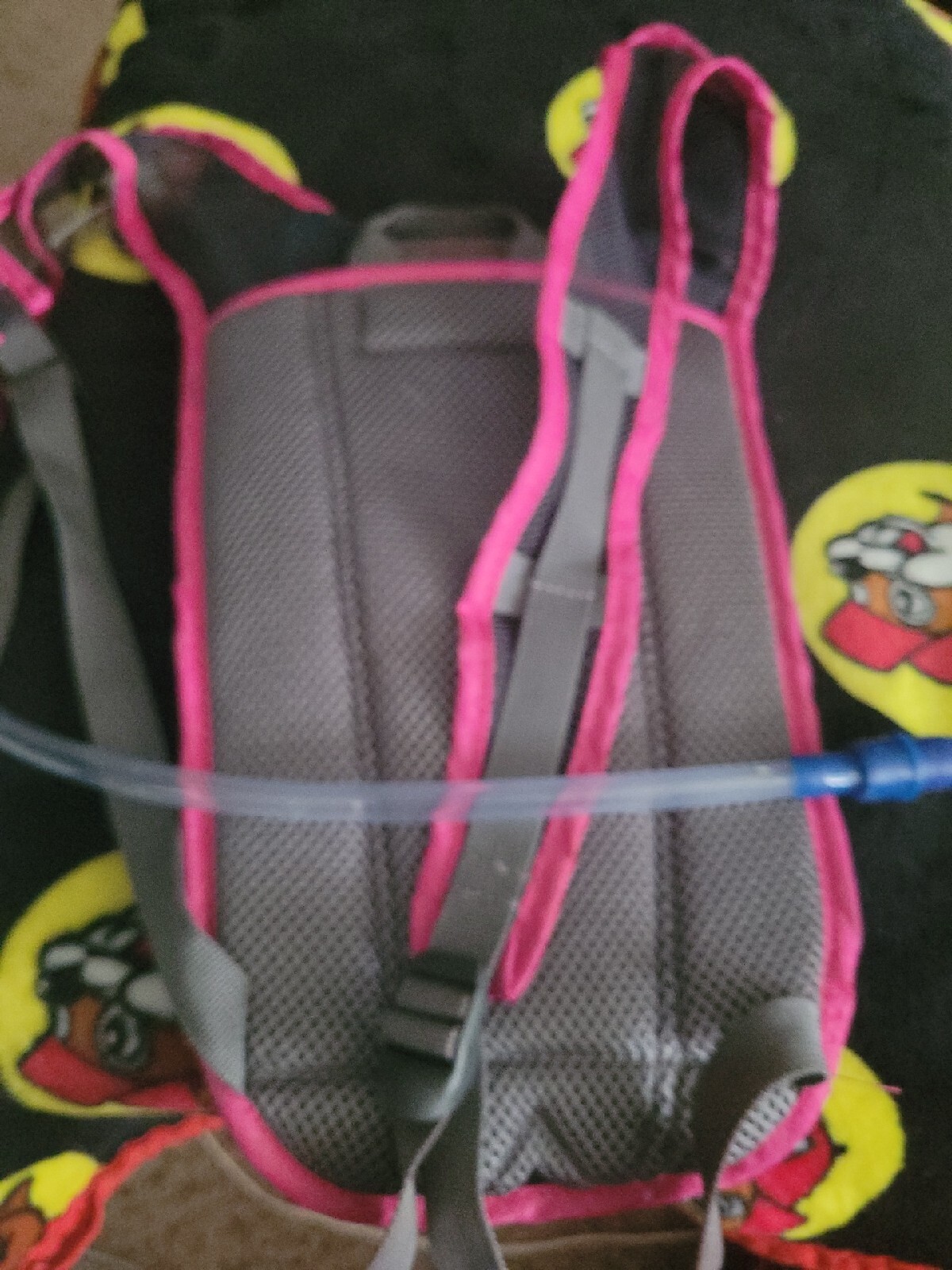 Pink Bass Pro Shops Hydration Pack Eclipse Gray 50 oz used 1 time