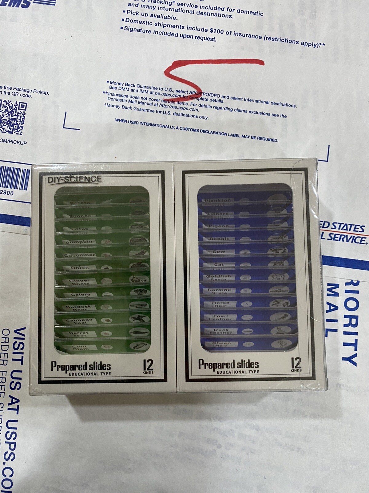 DIY-Science, 48 Prepared Microscope Slides, Animals, Insects, Plants & Flowers