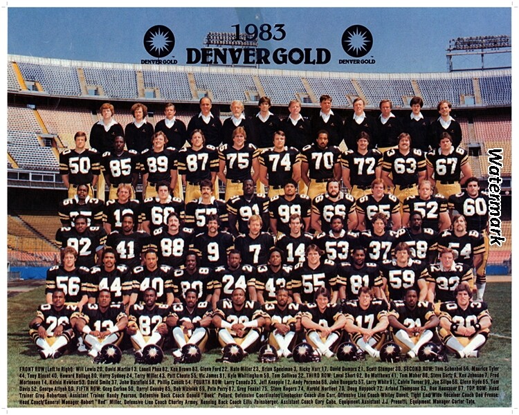 USFL 1983 Denver Gold Color Team Picture 8 X 10 Photo Picture