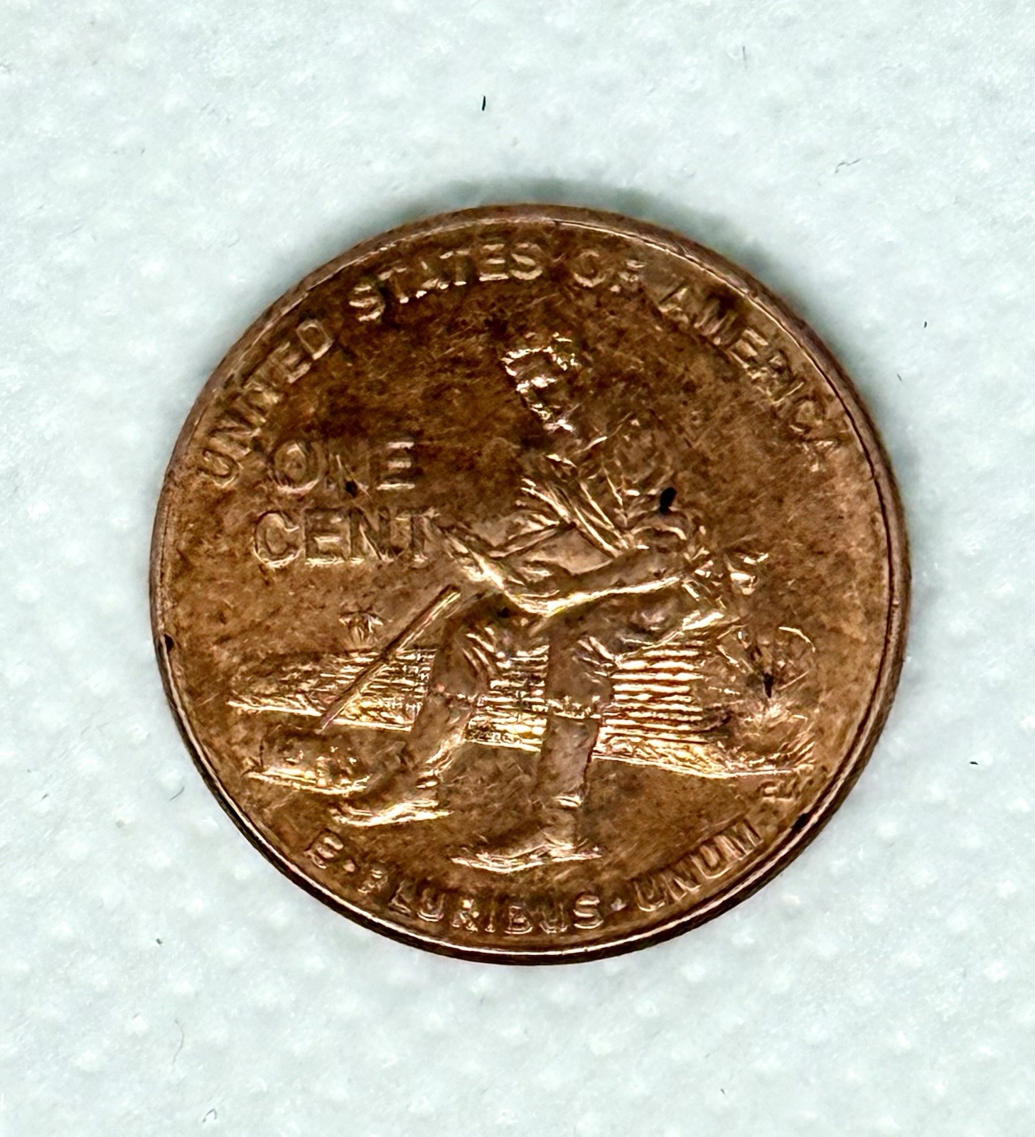 2009 D Lincoln Cent Abe Sitting On a Log Mint Mark (D)