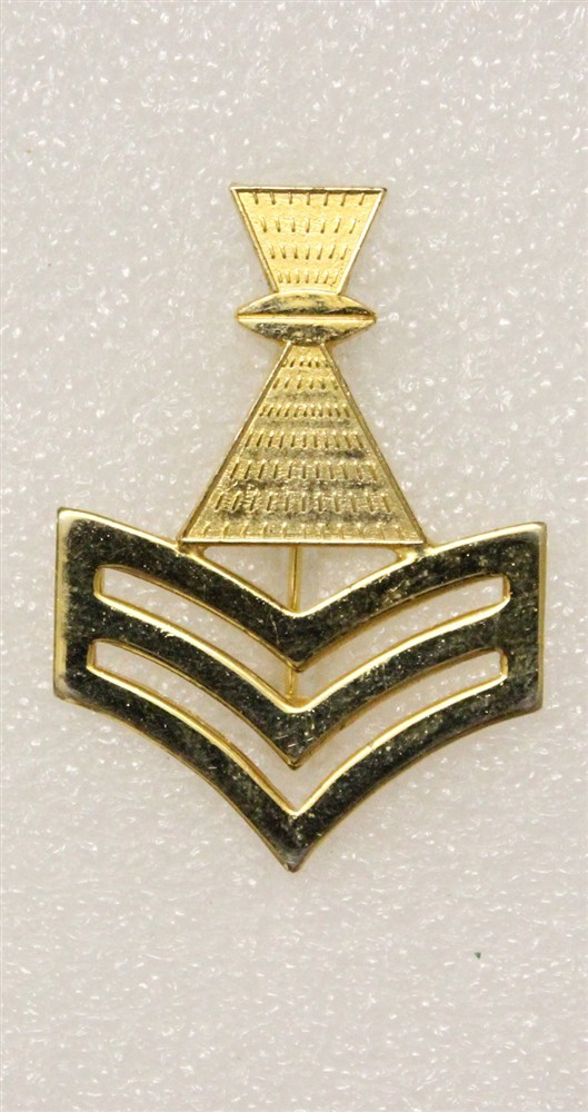 Cap Badge 712: U.S. Navy PO-1, Photographer's Mate - p/b, GEMSCO, gilt