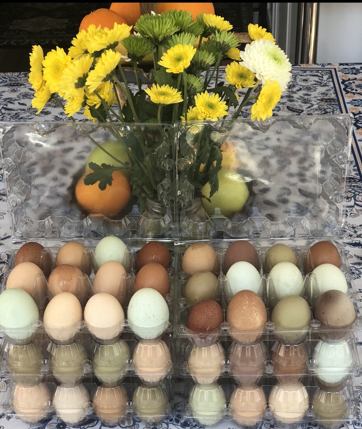 8 + 2 Rainbow Hatching Eggs from Purebred Chickens *No Barnyard Mixes*