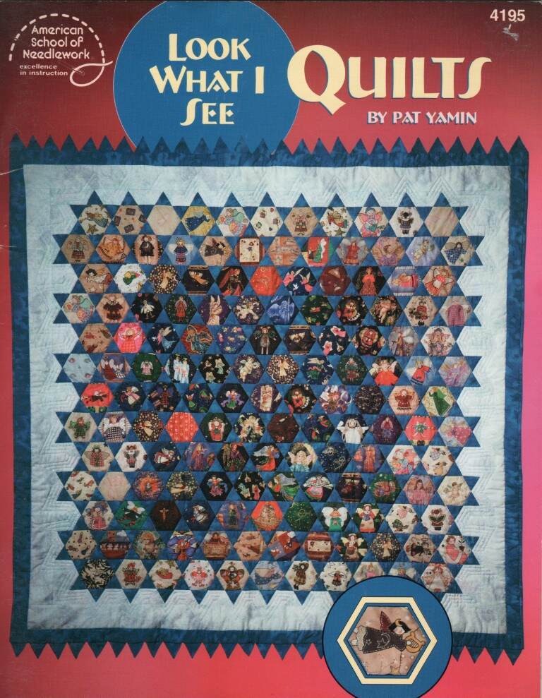 AMERICAN SCHOOL OF NEEDLEWORK LOOK WHAT I SEE QUILTS 2001
