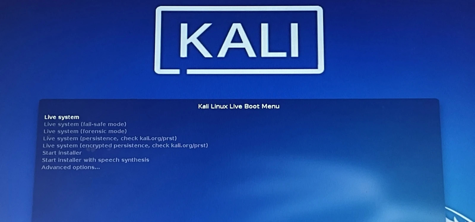 Kali-Linux 2026.1 Live version on 3.1  16 Gig USB Drive