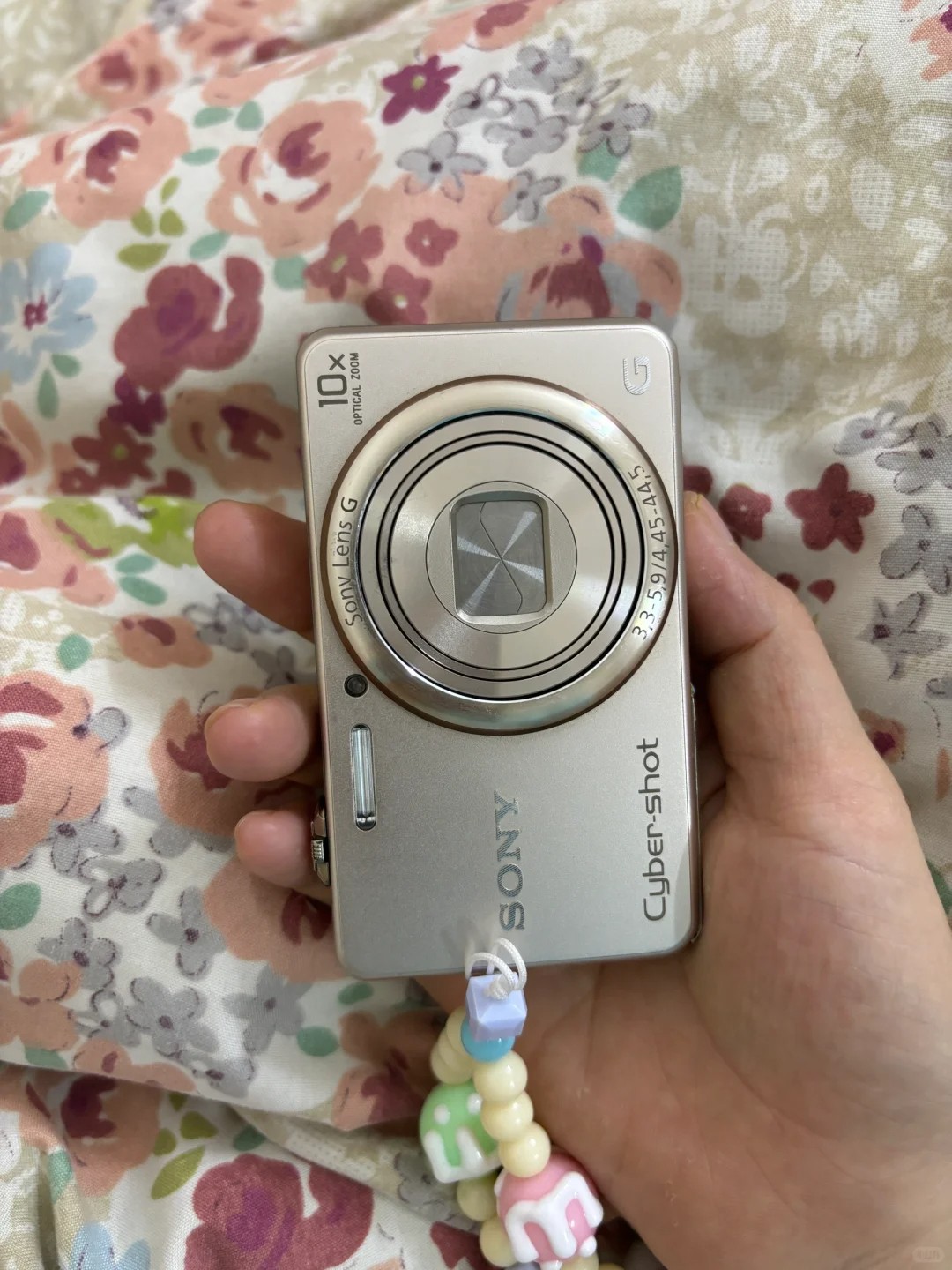Sony Cyber-Shot DSC-WX220 18.2 MP Digital Camera 10X Optical Zoom-Gold