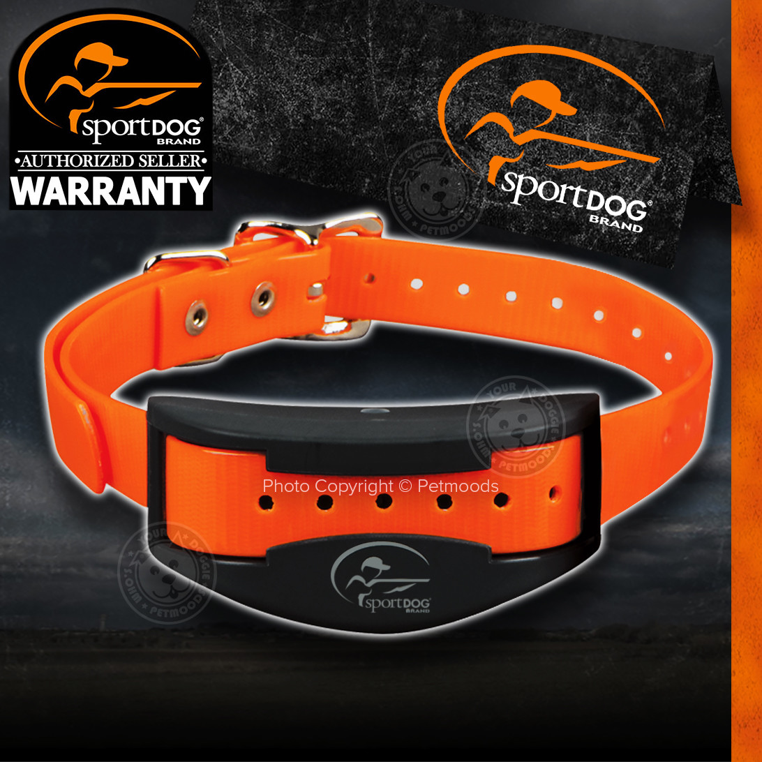 SportDOG SD-875 SportTrainer SD-875E Remote Dog Training Collar Orange 1/2 Mile