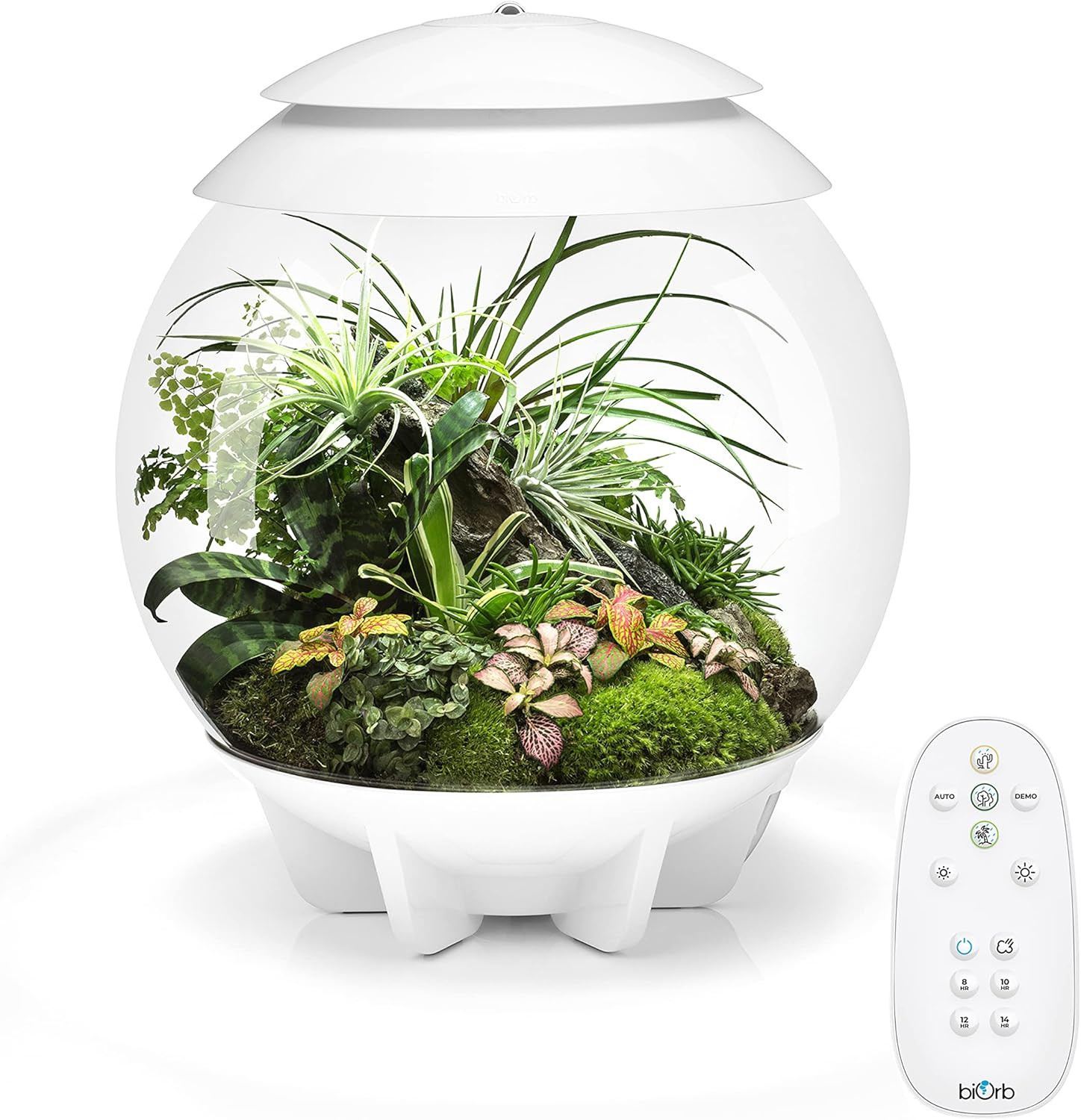 AIR 30 Automated Terrarium for Arid, Temperate & Tropical Plants - White