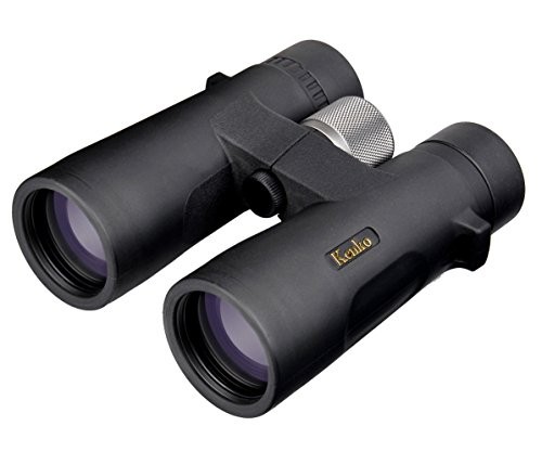 Kenko Binoculars Avantar 8 42 ED DH 8 times 42 caliber roof prism type ED lens