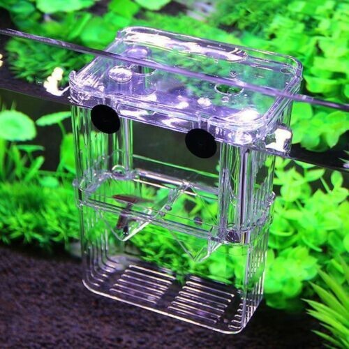 Aquarium Fish Tank Breeding Breeder Rearing Box Hatchery Isolation Case, Small