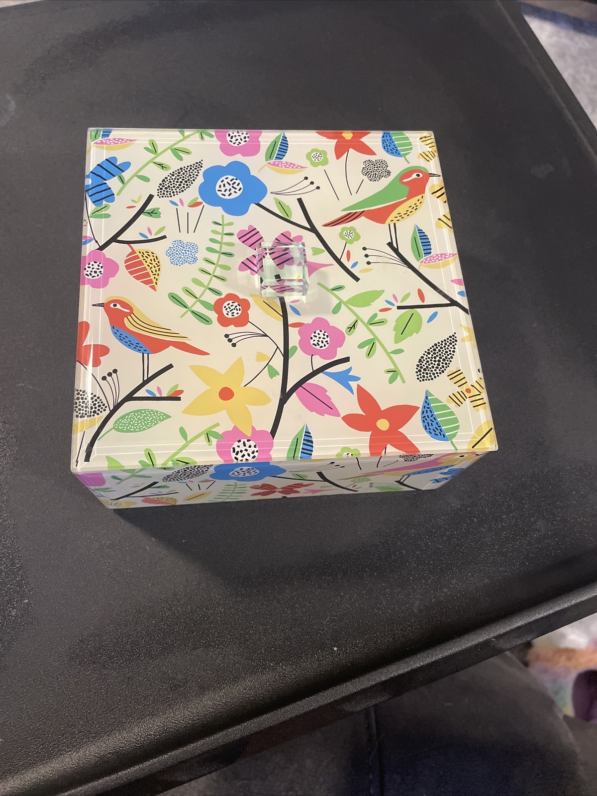 Acrylic Bird box