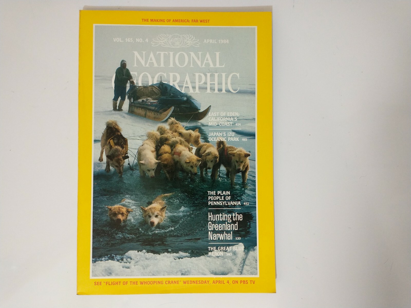 National Geographic Magazine VTG Back Issue April 1984 California Mid-Coast Izu