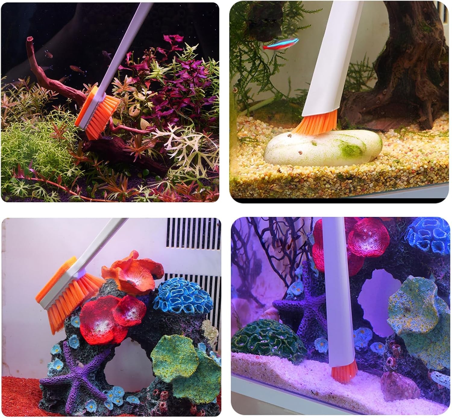 Small Fish Tank Cleaner - Algae Scraper for Glass Aquariums - 11.8 Inch