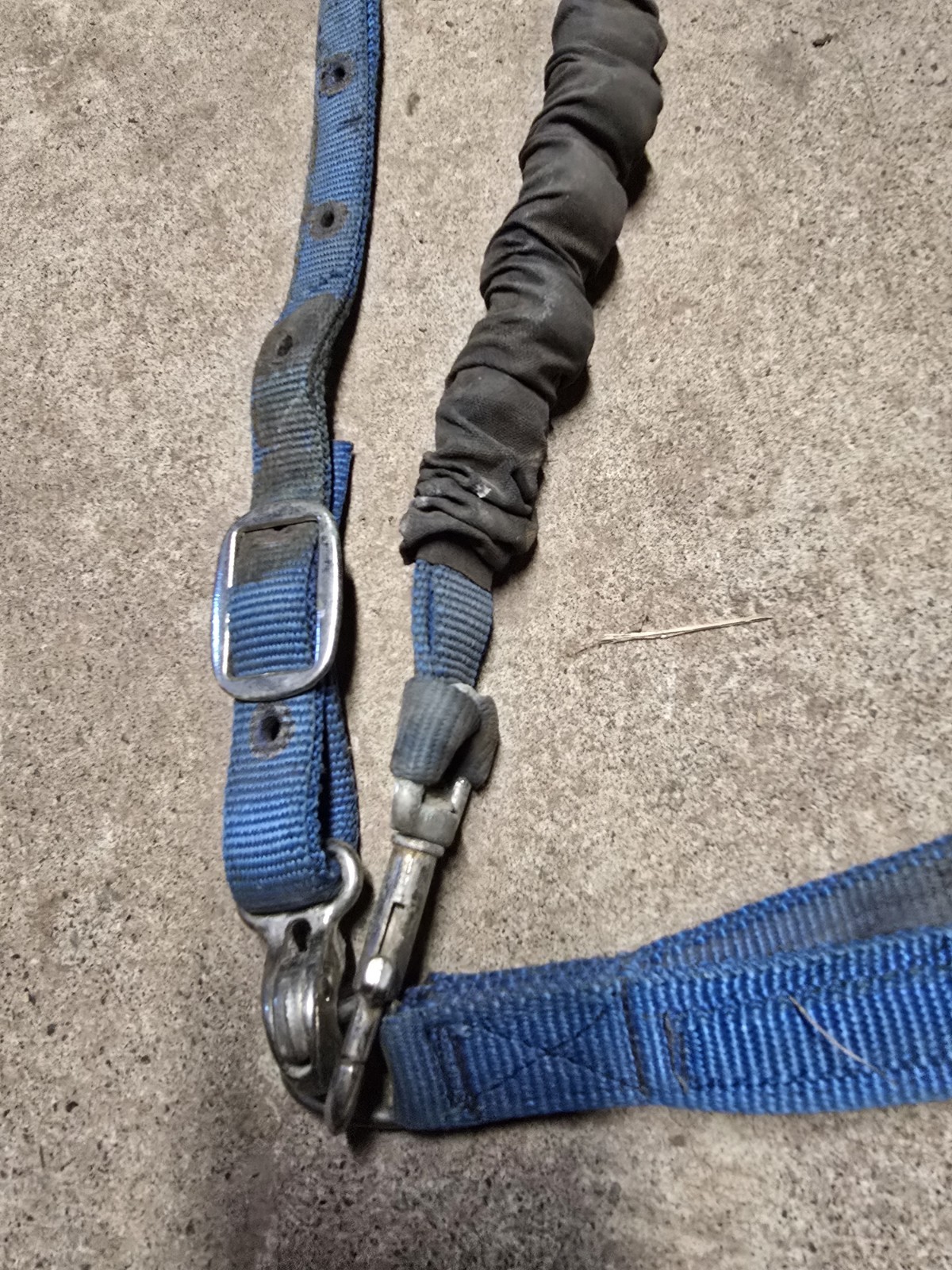 Blue Nylon Horse Sized Tie Down Used