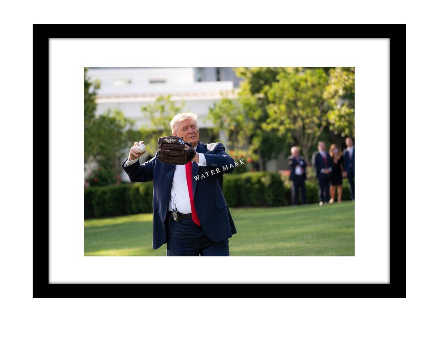 Donald Trump 5x7 photo print Pitching Baseball at White House lawn MAGA GOP